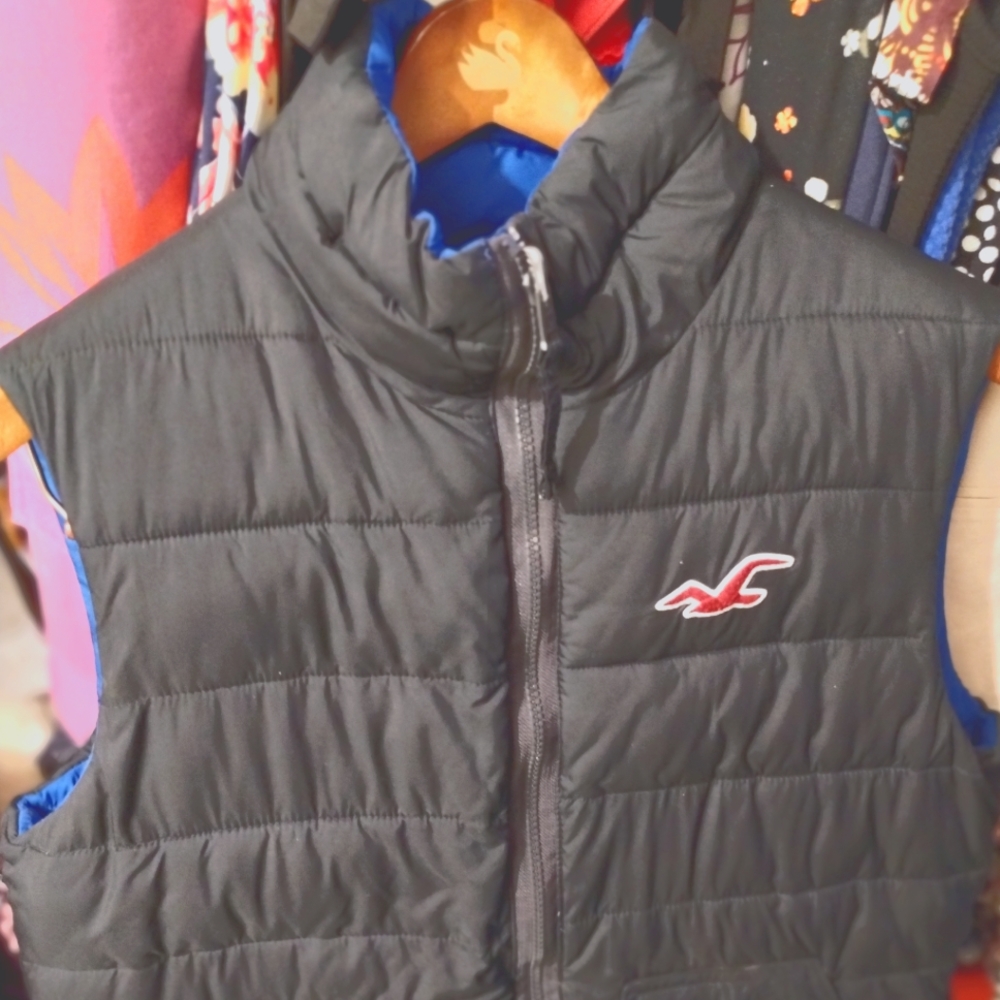 Reversible vest